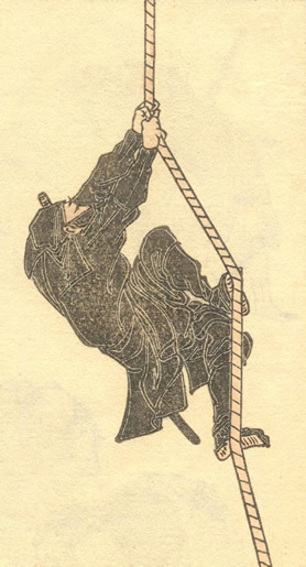 Ninja Mercenary